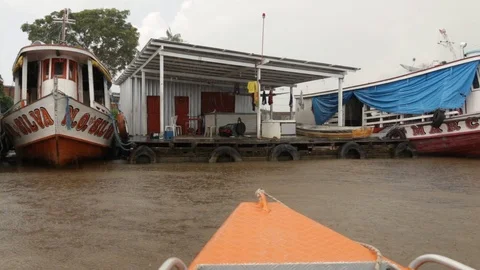 Amazon rain Stock Footage 88417395