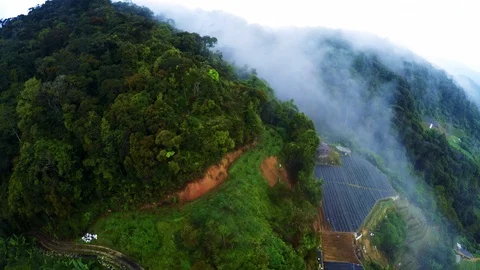 Amazon rain forest in aerial view Video stock 86838969