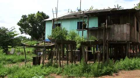 Amazon Rain Forrest Stock-Footage 32936377