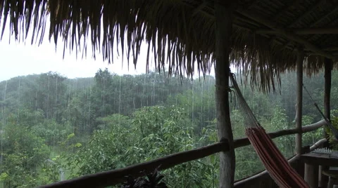 Amazon rain from jungle lodge  Stock Footage 40992855