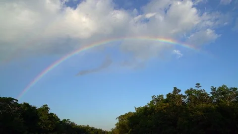 Amazon rainbow Stock Footage 73276470