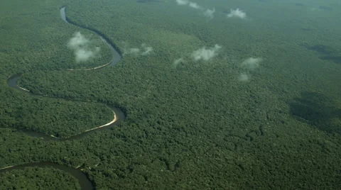 Amazon rainforest aerial drone fly over Stock Footage