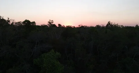 Amazon Rainforest Aerial move up through treeline to jungle panorama at sunse Video stock 114228988