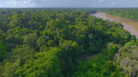 Amazon Rainforest and Meandering River in Tambopata, Peru, Aerial Telephoto Stock Footage 314320254