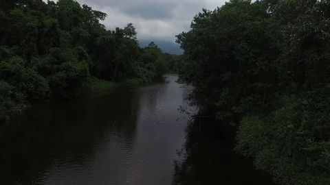 Amazon Rainforest, Brazil Stock Footage 71132211