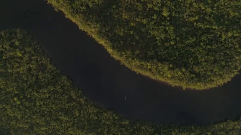 Amazon Rainforest in Brazil Stock Footage