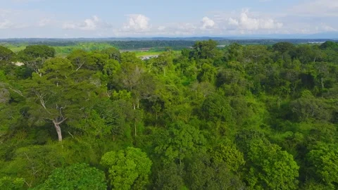 Amazon Rainforest Canopy with Tambopata River in Peru, Aerial Telephoto Stock Footage 314319693