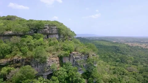 Amazon Rainforest Colombia Stock Footage 131275517