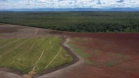 Amazon rainforest deforested to create farmland in Brazil - aerial view Vidéo 185915087