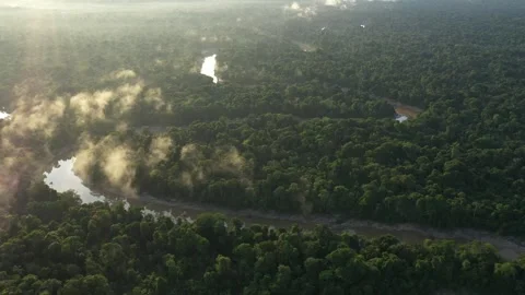 Amazon Rainforest Drone 4K (1) Stock Footage 300893265