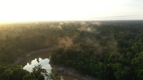Amazon Rainforest Drone 4K (2) Stock Footage 300893353