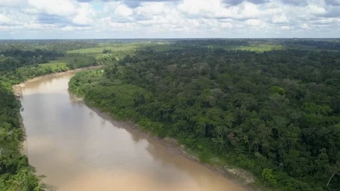 Amazon rainforest drone aerial view of jungle and cattle farms on Purus River Stock Footage 131771358
