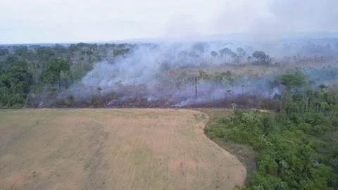 Amazon rainforest drone aerial view of forest fire deforestation, Brazil. Vidéo 131771643