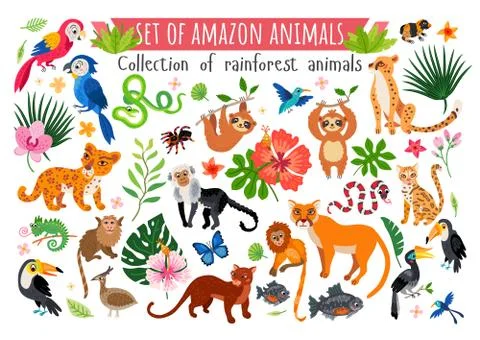 An Amazon rainforest jungle animals set. Vector Illustrazione stock