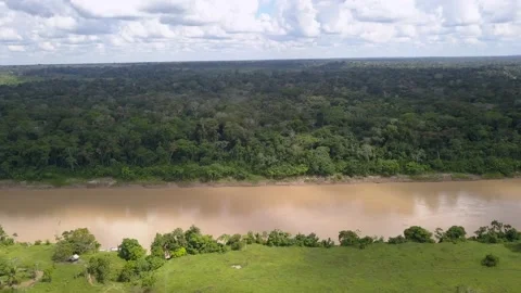 Amazon rainforest landscape aerial view. Forest trees and Purus River Stock Footage 131771446