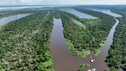 Amazon Rainforest At Manaus In Amazonas Brazil. Stock Footage 310026664