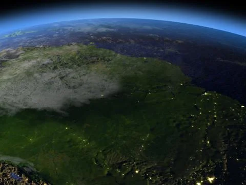 Amazon rainforest at night Illustrazione stock