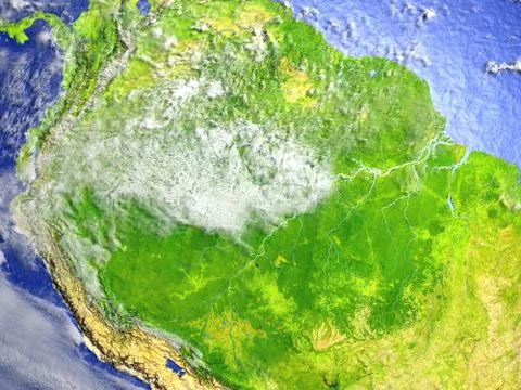 Amazon rainforest on realistic model of Earth Illustrazione stock