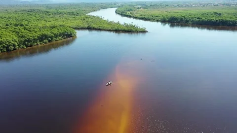 Amazon Rainforest At Rio Branco In Acre Brazil. Vidéo 309999244