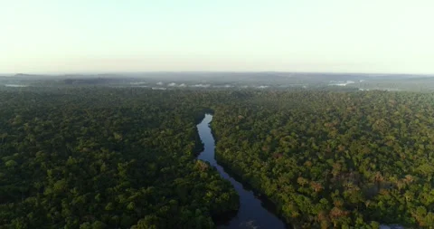 Amazon Rainforest River Aerial Stock Footage 246353883