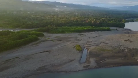 Amazon Rainforest with River Stock Footage 136762584