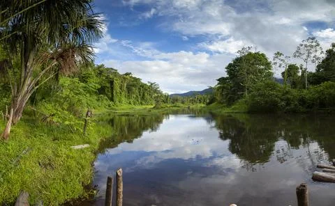 Amazon rainforest in river Madre de Dios, Manu National Park, Peru. Stock Photos