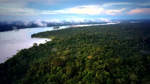 Amazon Rainforest with the river meandering in the background during sunset Stock Footage 247863373