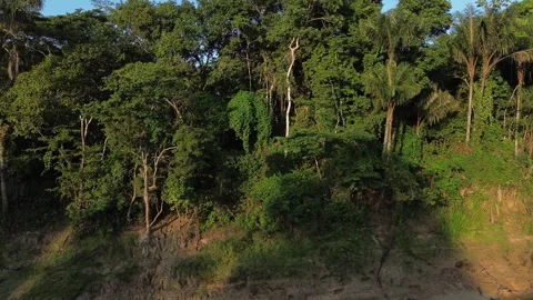 Amazon Rainforest sideways drone shot of riverbed on the Amazon river wit reveal Stock Footage 253428200