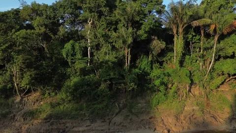 Amazon Rainforest sideways drone shot of riverbed on the Amazon river Stock Footage 253428395