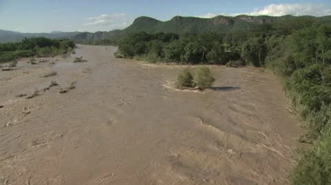 Amazon River 1 스톡 동영상 19215955