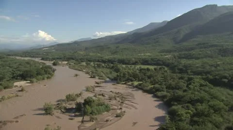 Amazon River 10 Video stock 19216703