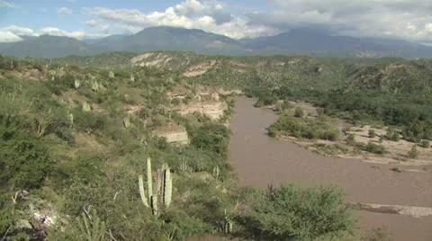 Amazon River 12 Video stock 19217264