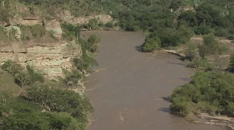 Amazon River 13 Video stock 19217675