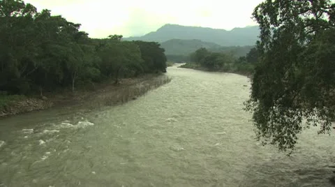 Amazon River 14 Stock-Footage 19217896