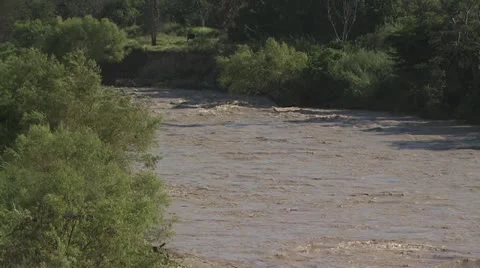 Amazon River 4 Video stock 19216225