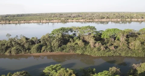 Amazon River aerial move out across river Video stock 114232781