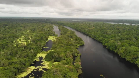 Amazon River Aerial Over Remote Rainforest Waterways, Peru (4K, 30fps) Stock Footage 326948607