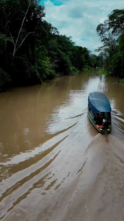 Amazon River and Dense Jungle Aerial Drone View 動画素材 316402642