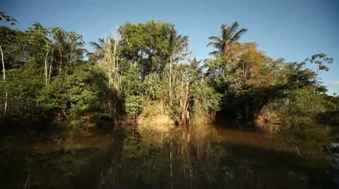 Amazon River and Rainforest Stock Footage 10767869