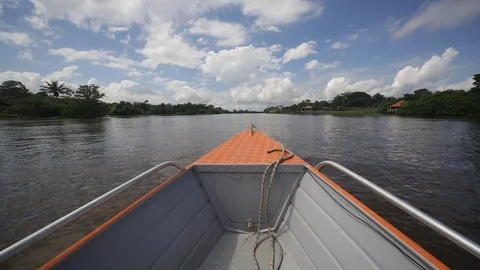 The Amazon River from a boat Video stock 88414793