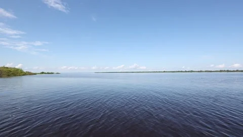 The Amazon river - on a boat, moving Stock Footage 279191295