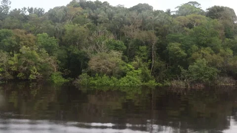 The Amazon river - on a boat, moving slowly Stock Footage 279191823