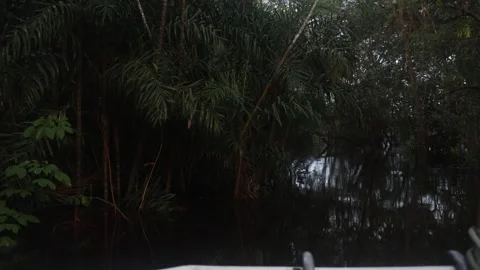 The Amazon river - on a boat, moving slowly Stock Footage 279193646