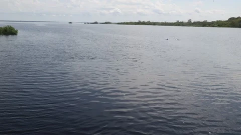 The Amazon river - on a boat, moving slowly Stock Footage 279194620