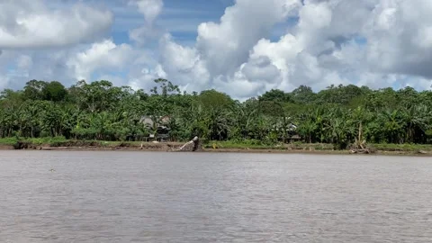 Amazon River boat trip from Iquitos Stock Footage 245929050