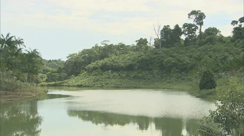 Amazon River, Brazil Stock-Footage 35350617