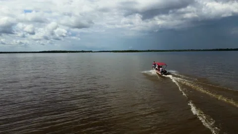 Amazon River, Brazil, Jungle, Forest 库存影片 329283442