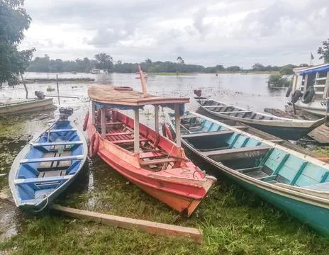 Amazon river, Brazil Stock Photos