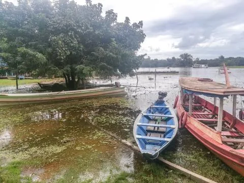 Amazon river, Brazil Stock Photos