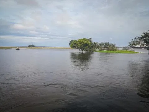 Amazon river, Brazil Stock Photos